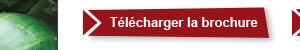 Package séminaire