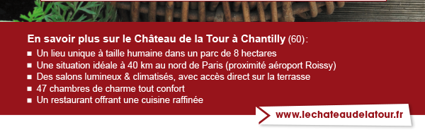 Chateau de la Tour